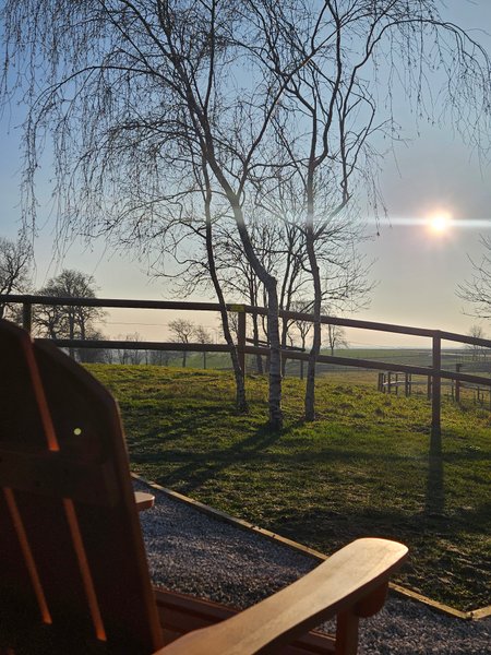 Domaine AbracadaRoom : Tiny House Le Haras - Image 5