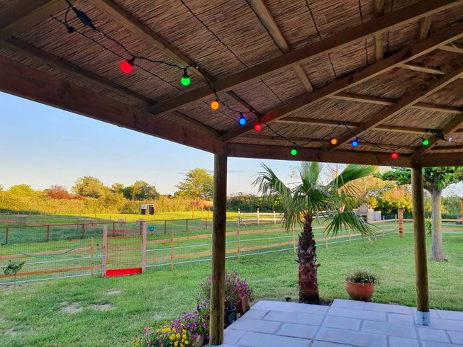Domaine AbracadaRoom : La Ferme Pacifique Camargue - Image 3