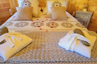 Les canards de la germaine