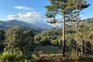 Tente et tente lodge Corse-du-Sud