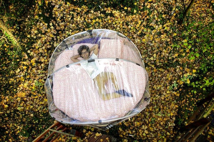 Hébergement AbracadaRoom : Bulle Sauvage la Maison du Rocher - Image 4