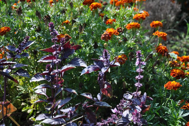 Domaine AbracadaRoom : Nid'Oiselet - Image 29