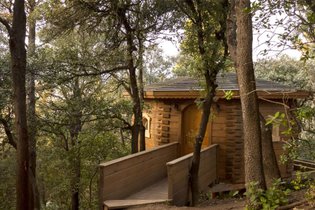Les Cabanes dans les bois