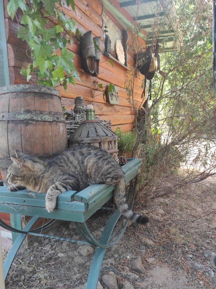 Domaine AbracadaRoom : Les Ecuries du Soleil - Image 18