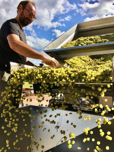 Domaine AbracadaRoom : Domaine  Joseph Lafarge - Image 6