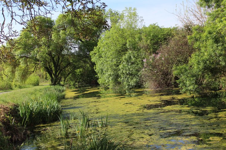 Domaine AbracadaRoom : La bulle étoile - Image 5