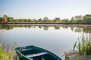 Domaine des Feuilles