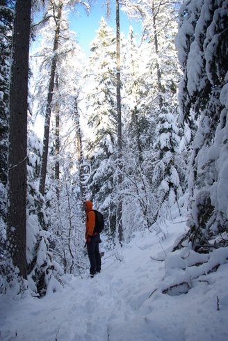 Domaine AbracadaRoom : Yourte de Montagne de Ratery - Image 2