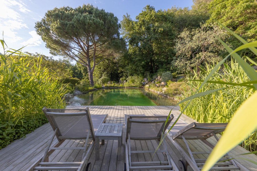 Hébergement AbracadaRoom : Shere Khan - Image 2