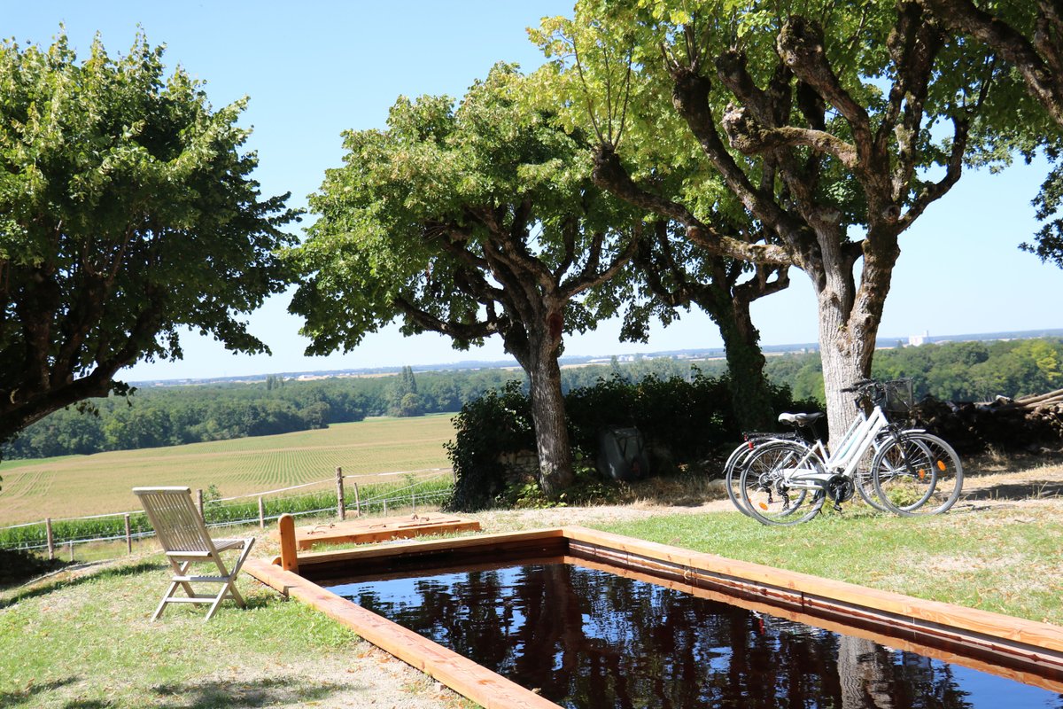 La Cabane de La Tortillère à Marcay (29)