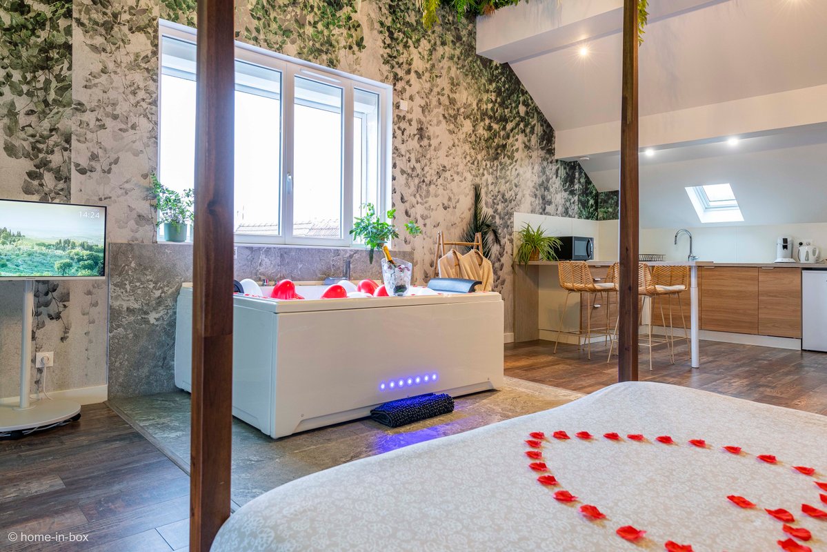 Suite Jungle Palace avec jacuzzi à Nanteuil Les Meaux (6)