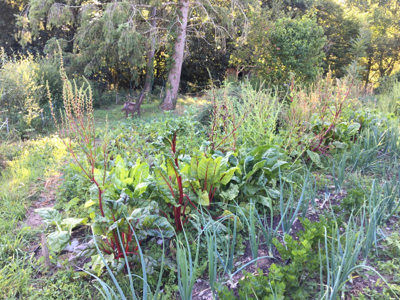 Domaine AbracadaRoom : O z'insolites - Image 7