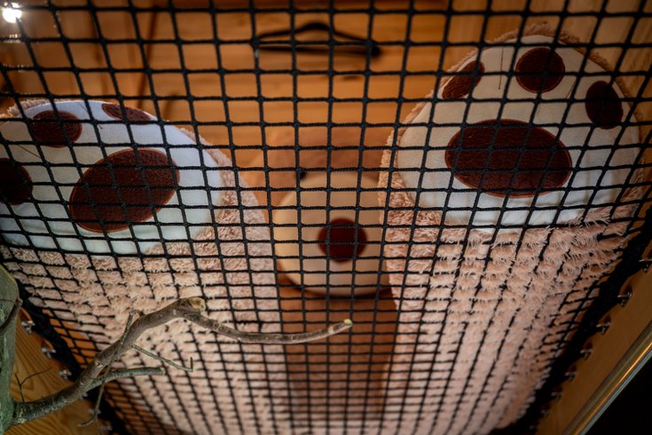 Hébergement AbracadaRoom : La Pat' de l'ours - Image 24