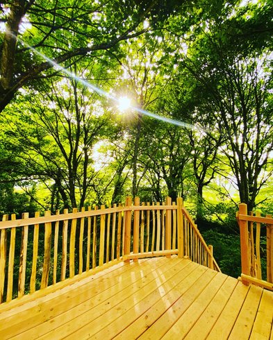 Hébergement AbracadaRoom : La Tête dans les étoiles - Image 5