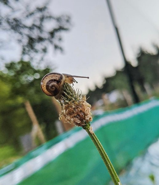 Domaine AbracadaRoom : Homnest (Uzemain) - Image 22