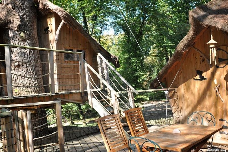 Cabane des Ouistitis — photo 2