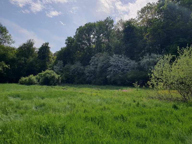 Domaine AbracadaRoom : Domaine du Moulin de Trimeule - Image 14