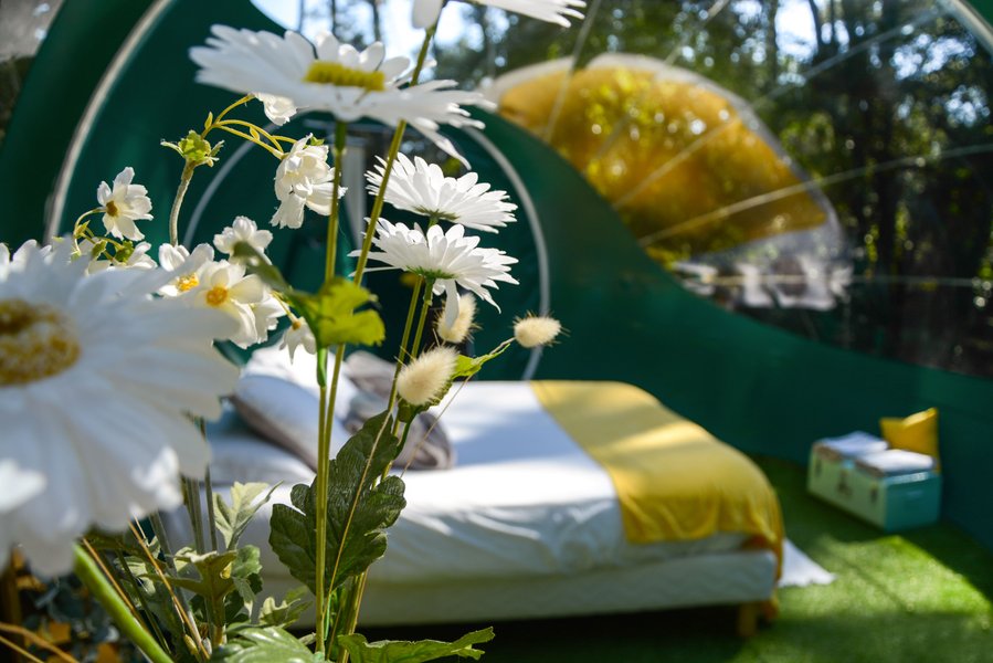 Hébergement AbracadaRoom : Bulle Verte d'Hossegor & Spa - Image 11