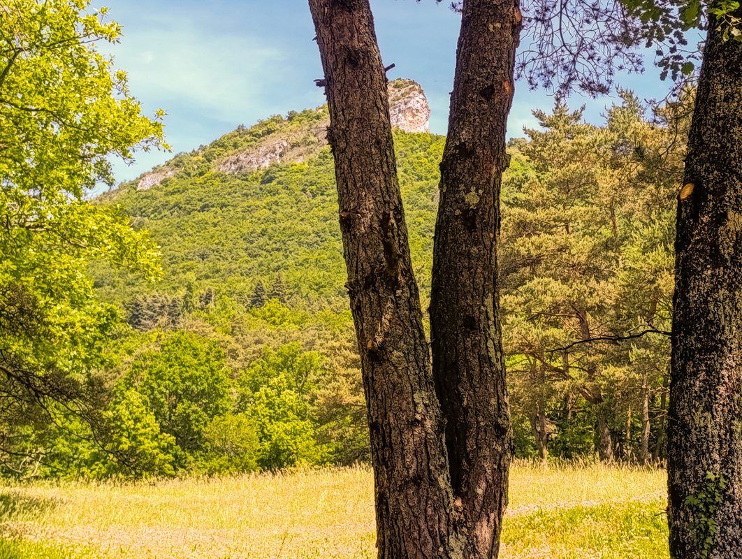 ※ Homnest ※ Observatoire des Géants ※ Haut Vercors à Omblèze (12)