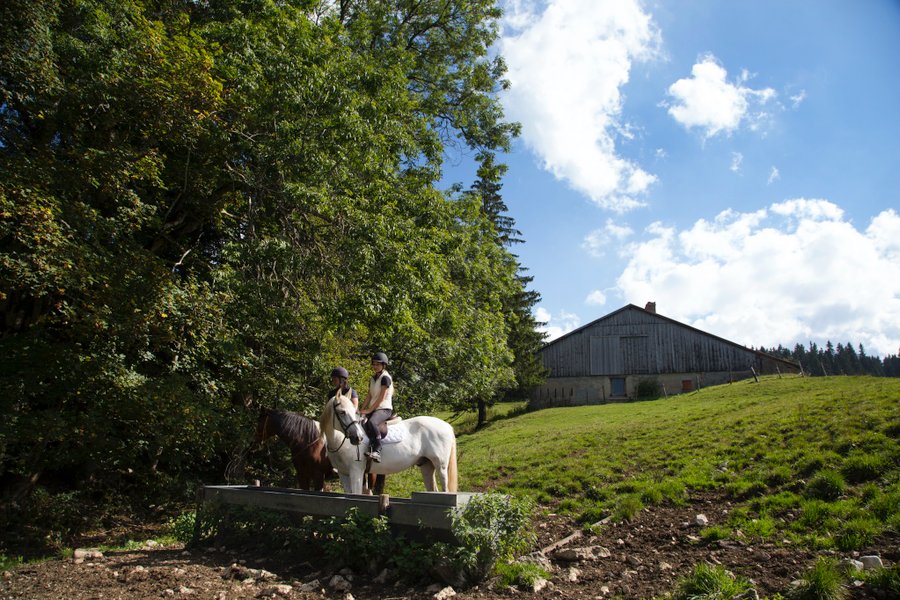 Domaine AbracadaRoom : The Wedge - Image 7