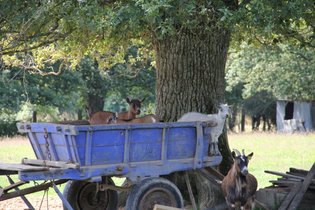 Ecodomaine Rêver Ailleurs