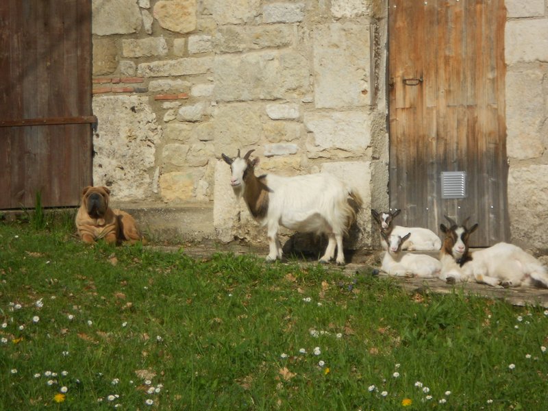 Domaine AbracadaRoom : Domaine des Calosses - Image 10