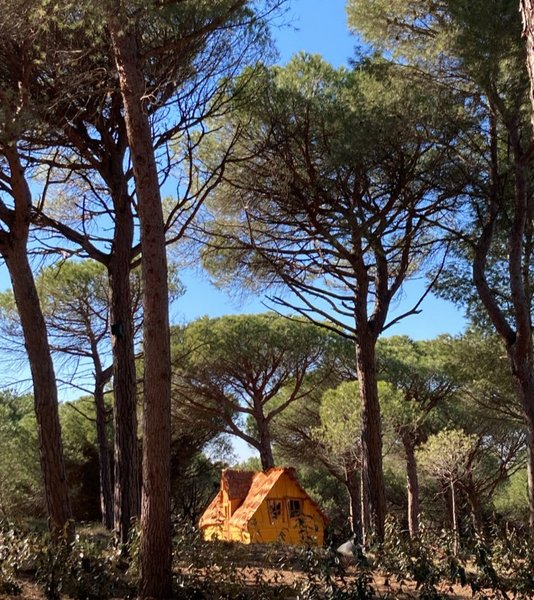 Hébergement AbracadaRoom : La Cabane Enchantée - Image 9