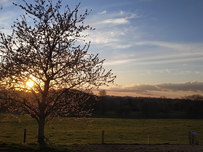 Domaine AbracadaRoom : Le domaine de la Clauzade - Image 9