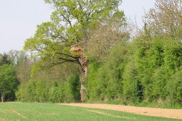 Fermette à Moulicent (2)