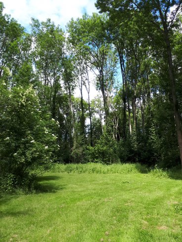 Domaine AbracadaRoom : Natur'Bulle - Image 3