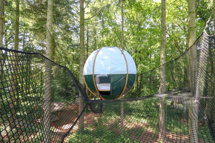 Hébergement AbracadaRoom : Bulle suspendue dans les arbres Venus - Image 1