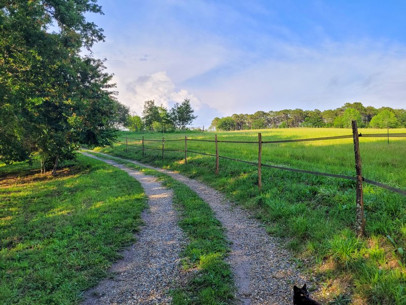 Hébergement AbracadaRoom : Tiny House Lumen & son bain bordelais - Image 32