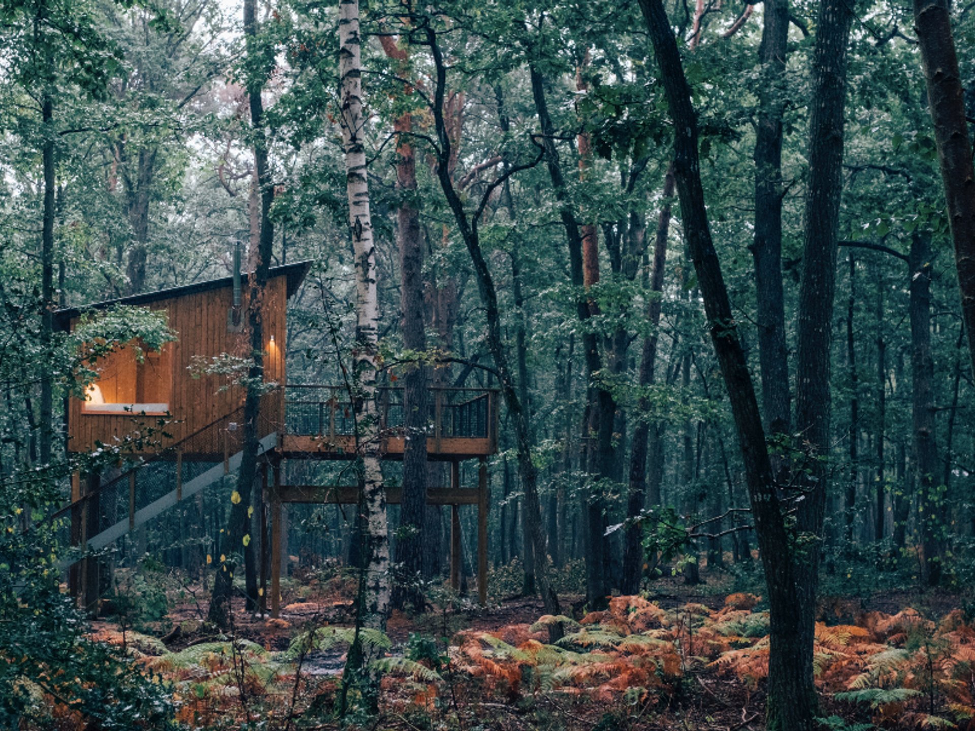 Cabane Duo Terrasse Haute