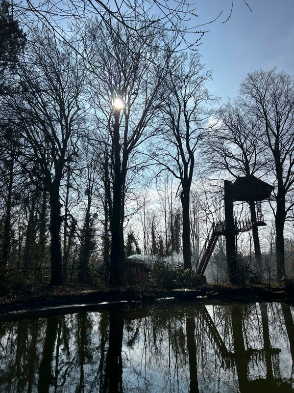 La cabane Haut-Perchée & Spa à Wail (22)