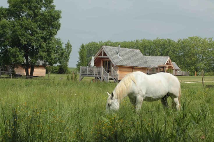 Domaine AbracadaRoom : Shanti Lac - Image 9