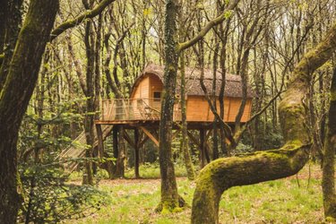 sejour insolite perché dans les arbres-famille-tinto-breatagne-abracadaroom