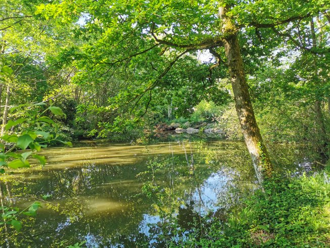 Domaine AbracadaRoom : La Noé verte - Image 3