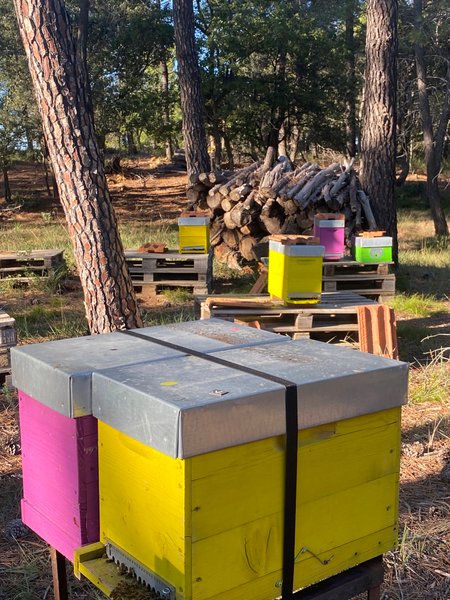 Hébergement AbracadaRoom : La Ruche aux Vins mille Senteurs - Terres du Sud - Image 18
