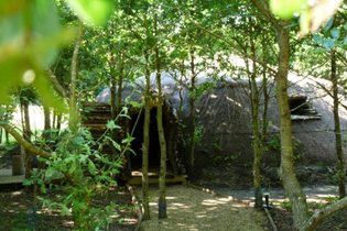 Cabane végétalisée Vienne