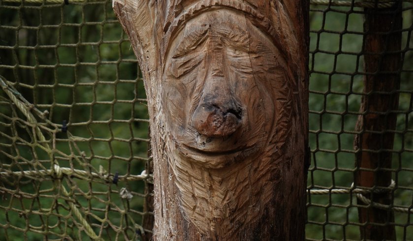 Domaine AbracadaRoom : Cabanes du Bois Clair - Image 3