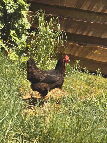 Domaine AbracadaRoom : K-hutes - Image 7