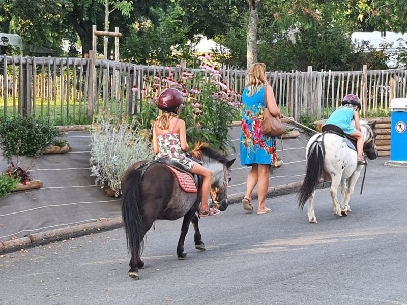 Domaine AbracadaRoom : Le Château Hauterives - Image 10