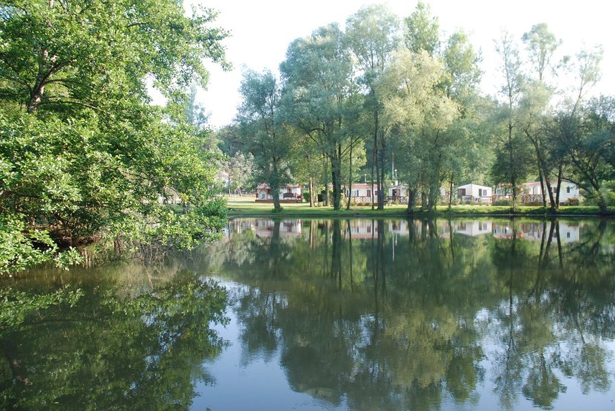 Domaine AbracadaRoom : Domaine du Grand Chêne - Image 2