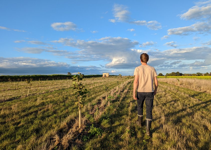 Hébergement AbracadaRoom : La Tiny House d'Henri - Image 2