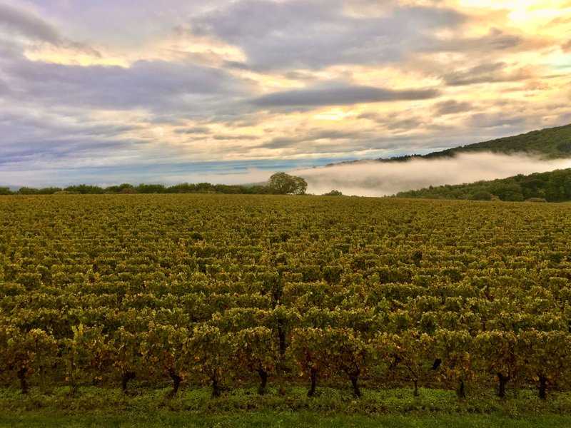 Domaine AbracadaRoom : Domaine  Joseph Lafarge - Image 2