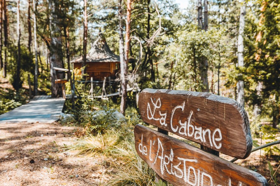 Aristoloche & Spa — photo 2