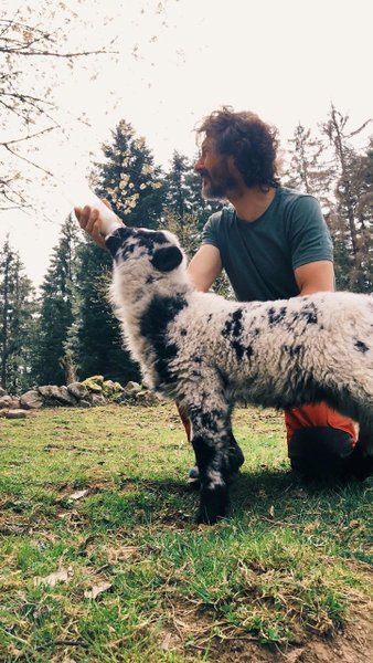 Hébergement AbracadaRoom : Dôme au milieu des Alpagas - Image 32