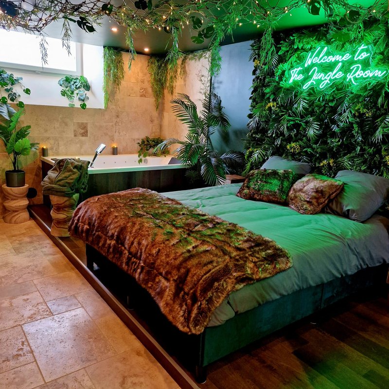 Jungle Room & Spa à Thiers (6)