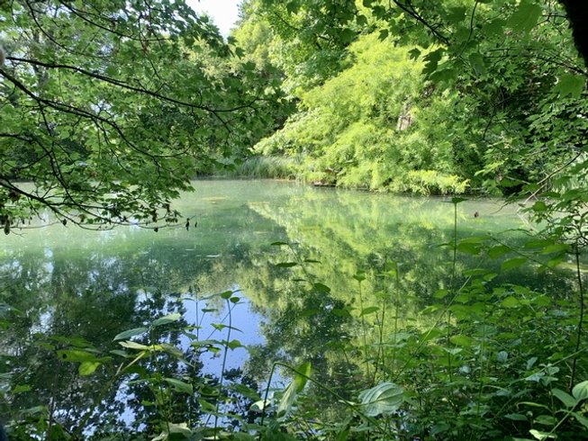 Hébergement AbracadaRoom : Chalet au bord de l’eau et des chevaux - Image 4
