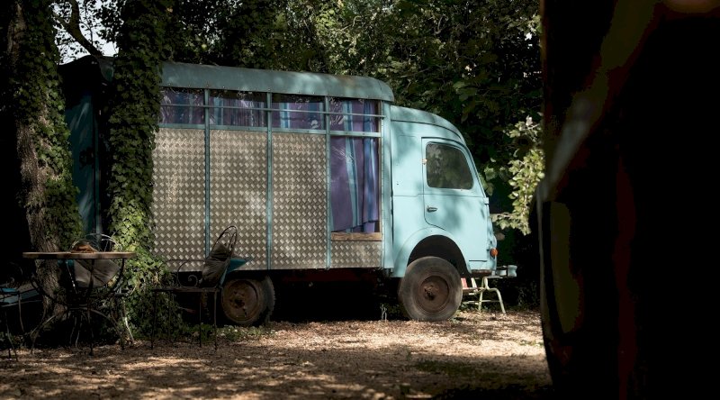 Domaine AbracadaRoom : Les Animaux et Marino - Image 7